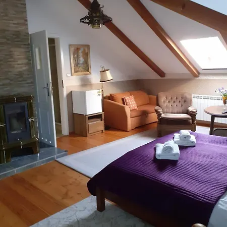 Villa Przystan Guest house *