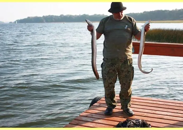 Villa Przystan Przystan